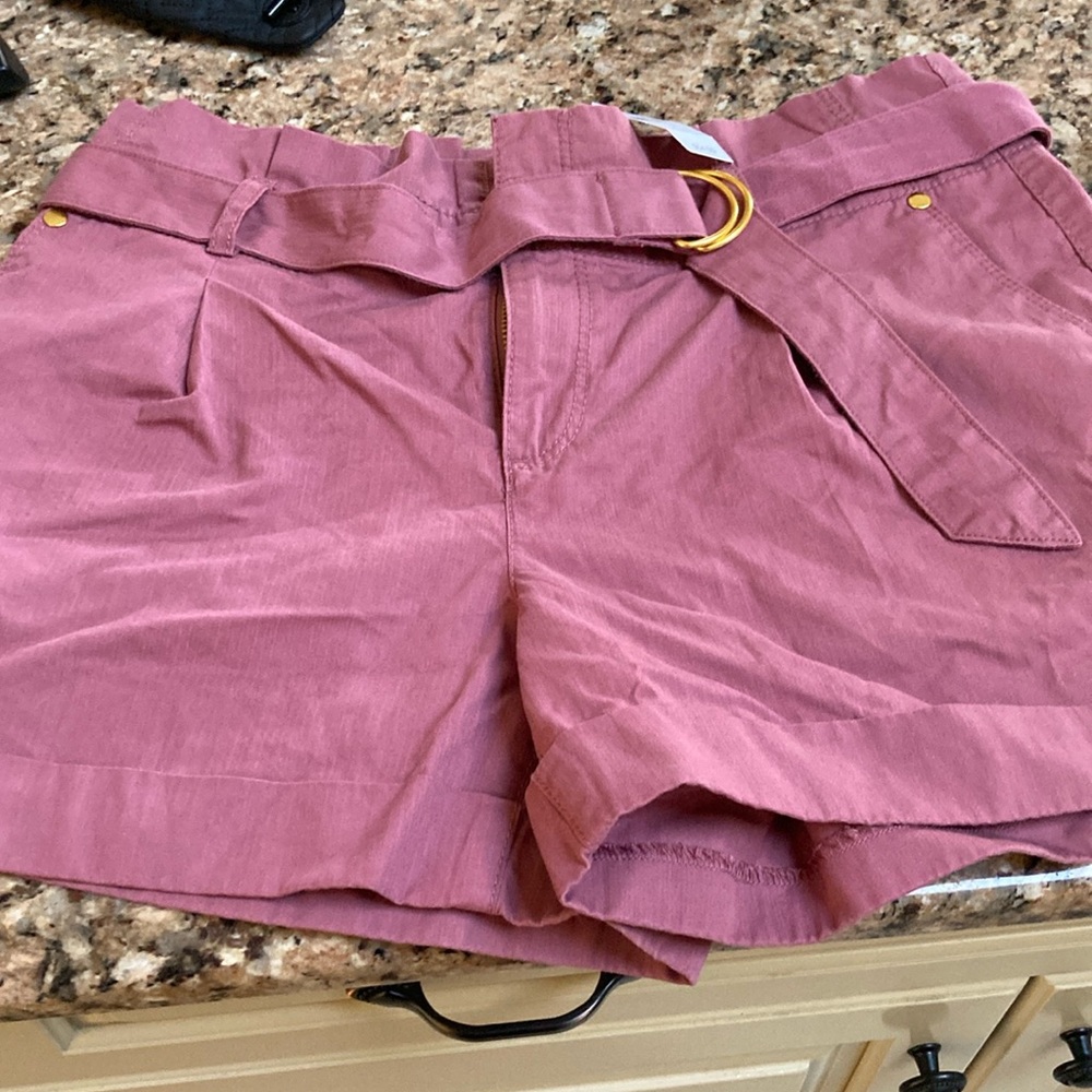 Brand new Loft shorts